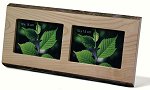 Double Bark Edged<br>Photo Frame 4x6 Inches